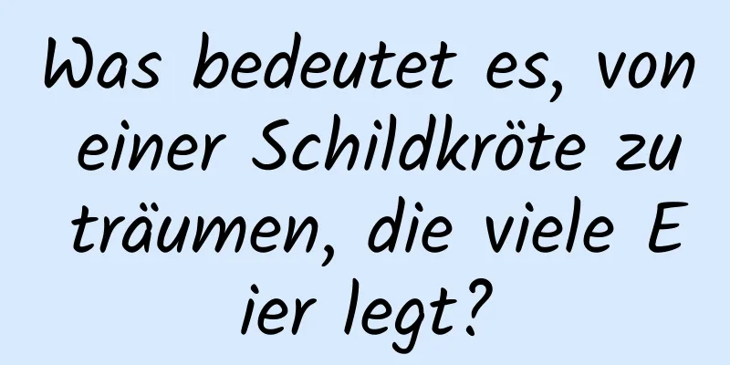 Was bedeutet es, von einer Schildkröte zu träumen, die viele Eier legt?