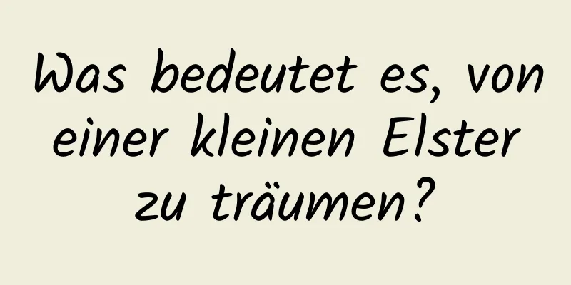 Was bedeutet es, von einer kleinen Elster zu träumen?