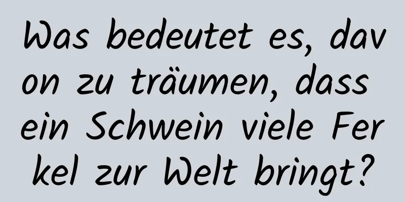 Was bedeutet es, davon zu träumen, dass ein Schwein viele Ferkel zur Welt bringt?