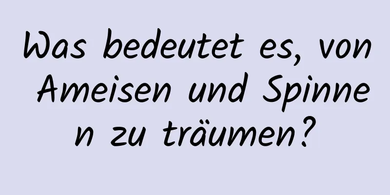 Was bedeutet es, von Ameisen und Spinnen zu träumen?