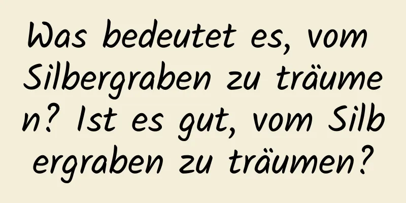 Was bedeutet es, vom Silbergraben zu träumen? Ist es gut, vom Silbergraben zu träumen?