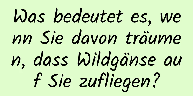 Was bedeutet es, wenn Sie davon träumen, dass Wildgänse auf Sie zufliegen?