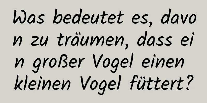 Was bedeutet es, davon zu träumen, dass ein großer Vogel einen kleinen Vogel füttert?