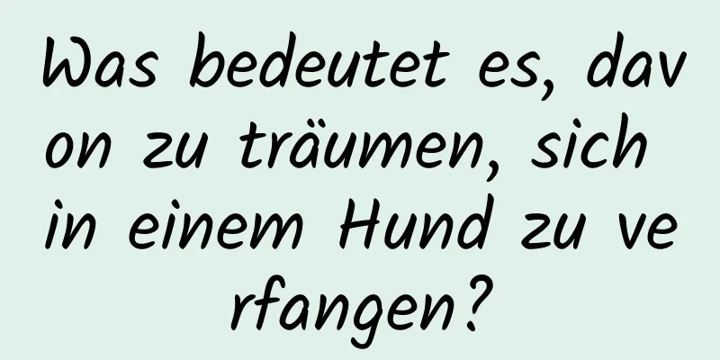 Was bedeutet es, davon zu träumen, sich in einem Hund zu verfangen?