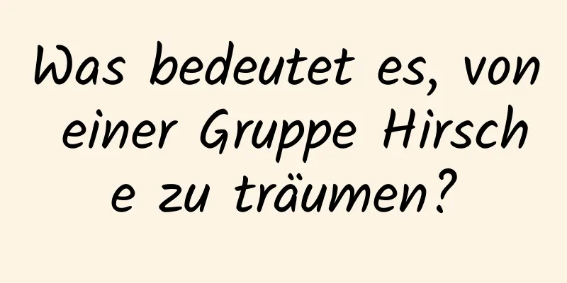 Was bedeutet es, von einer Gruppe Hirsche zu träumen?