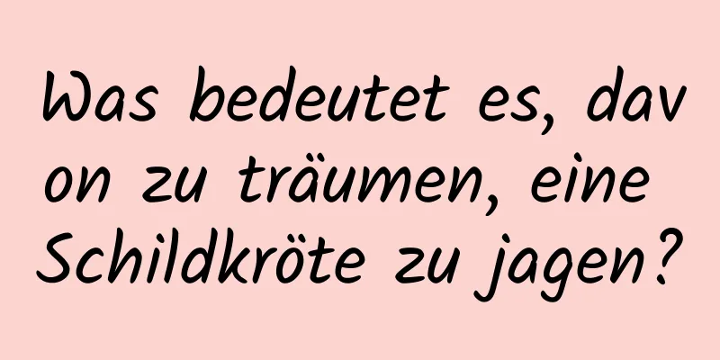 Was bedeutet es, davon zu träumen, eine Schildkröte zu jagen?