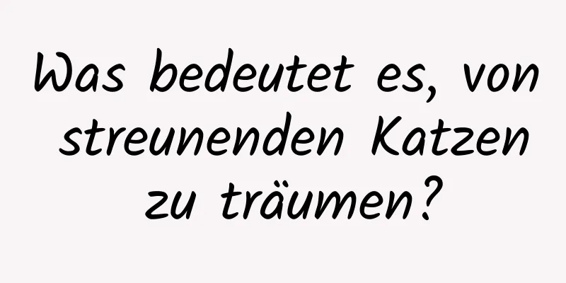 Was bedeutet es, von streunenden Katzen zu träumen?