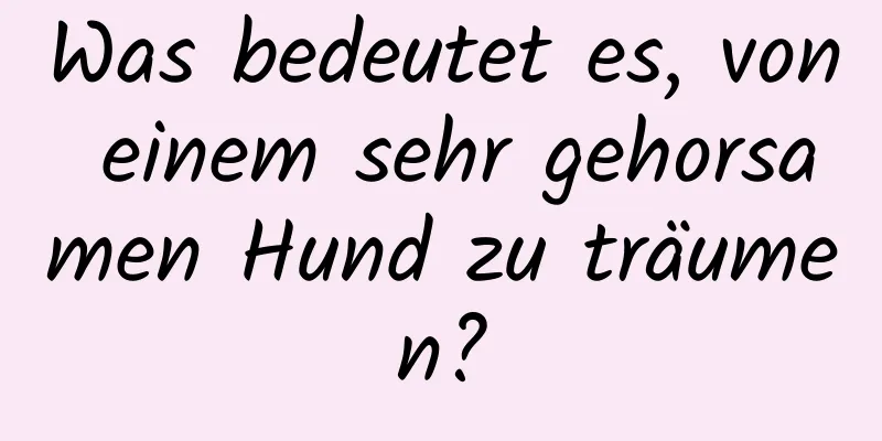 Was bedeutet es, von einem sehr gehorsamen Hund zu träumen?