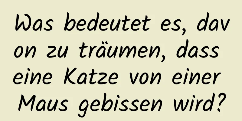 Was bedeutet es, davon zu träumen, dass eine Katze von einer Maus gebissen wird?