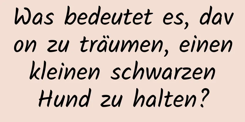 Was bedeutet es, davon zu träumen, einen kleinen schwarzen Hund zu halten?