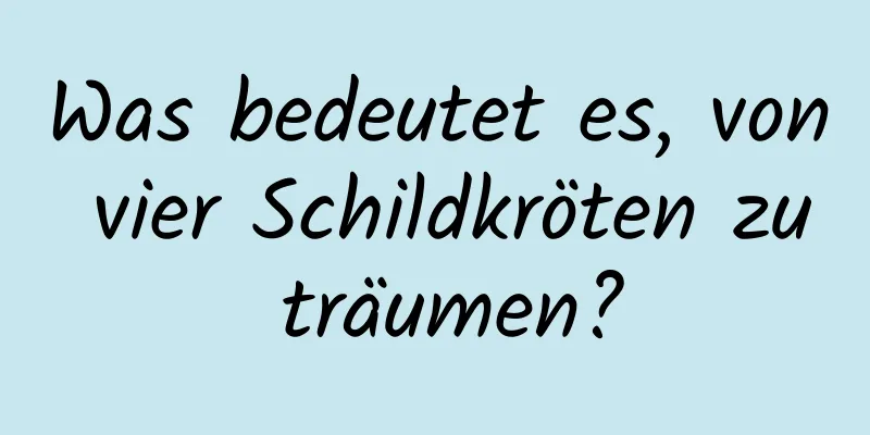 Was bedeutet es, von vier Schildkröten zu träumen?