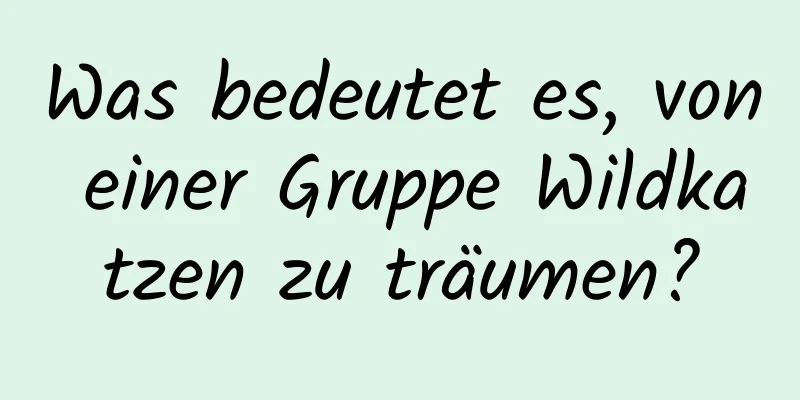 Was bedeutet es, von einer Gruppe Wildkatzen zu träumen?