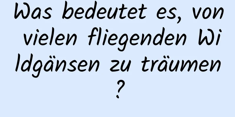 Was bedeutet es, von vielen fliegenden Wildgänsen zu träumen?