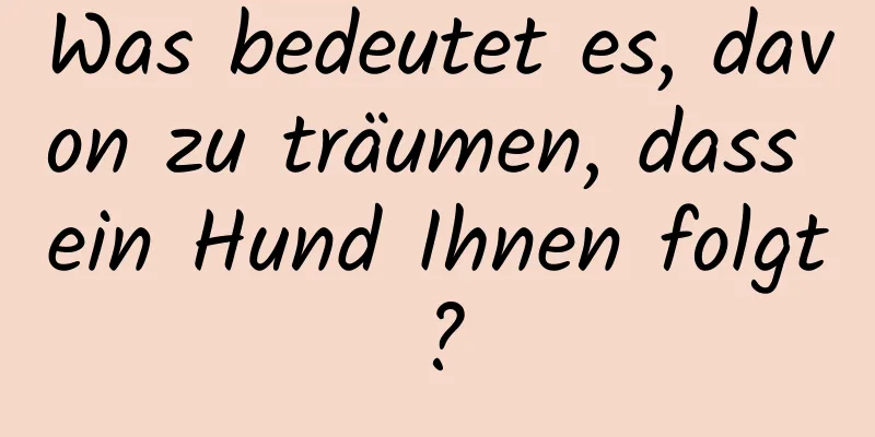 Was bedeutet es, davon zu träumen, dass ein Hund Ihnen folgt?