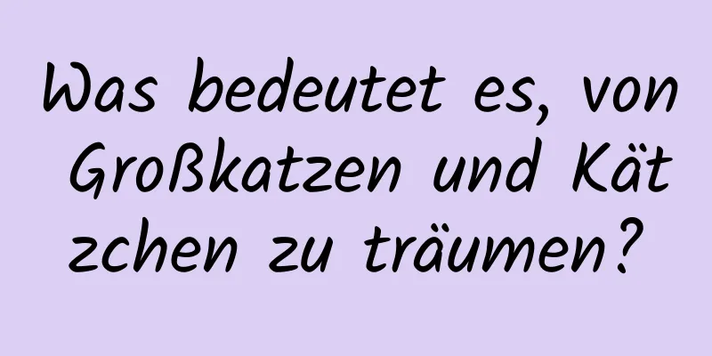 Was bedeutet es, von Großkatzen und Kätzchen zu träumen?