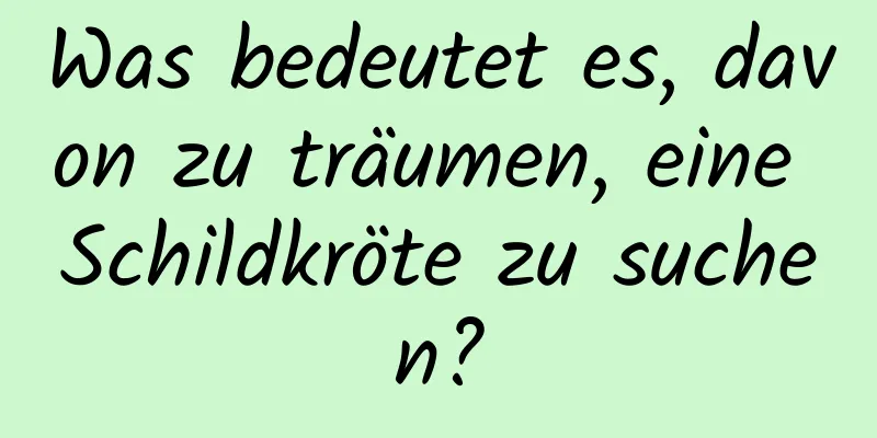 Was bedeutet es, davon zu träumen, eine Schildkröte zu suchen?