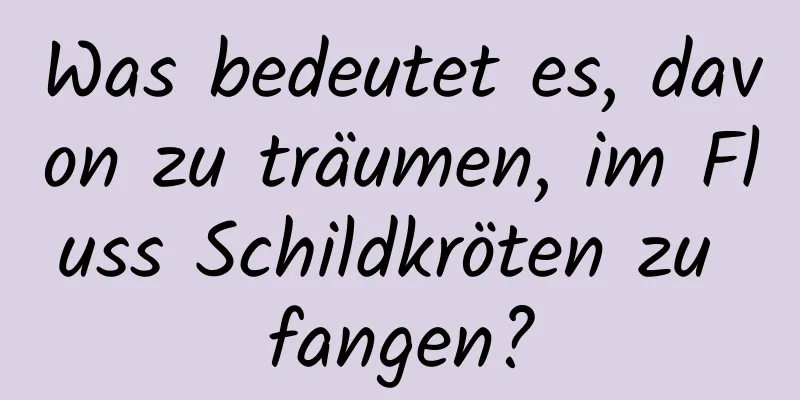 Was bedeutet es, davon zu träumen, im Fluss Schildkröten zu fangen?