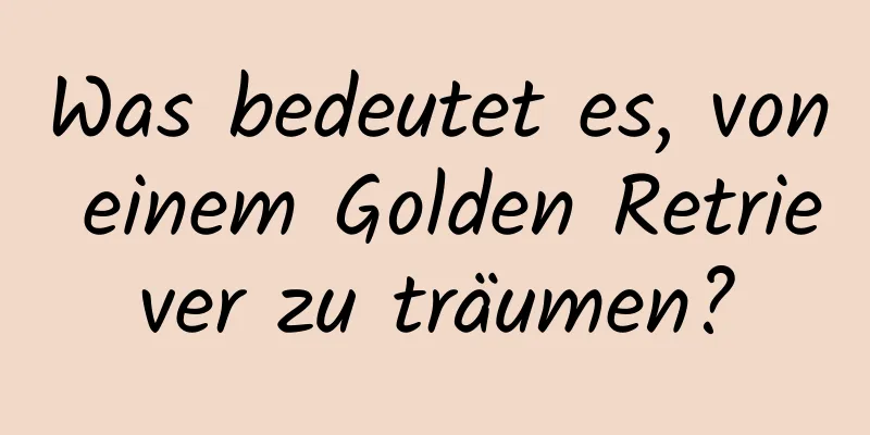 Was bedeutet es, von einem Golden Retriever zu träumen?