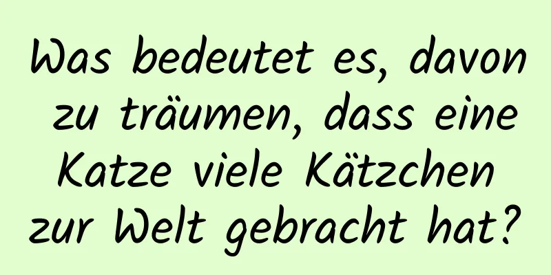 Was bedeutet es, davon zu träumen, dass eine Katze viele Kätzchen zur Welt gebracht hat?