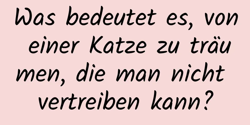 Was bedeutet es, von einer Katze zu träumen, die man nicht vertreiben kann?