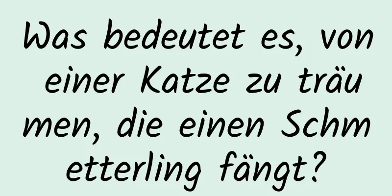 Was bedeutet es, von einer Katze zu träumen, die einen Schmetterling fängt?