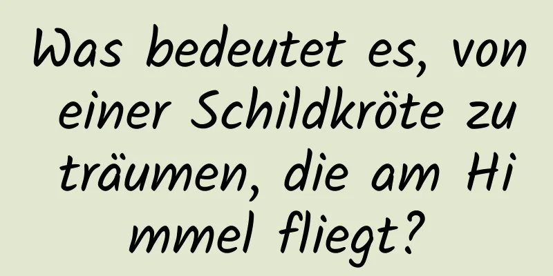 Was bedeutet es, von einer Schildkröte zu träumen, die am Himmel fliegt?