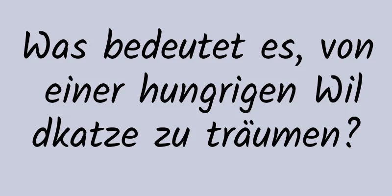 Was bedeutet es, von einer hungrigen Wildkatze zu träumen?