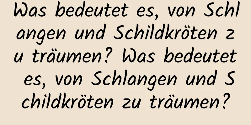 Was bedeutet es, von Schlangen und Schildkröten zu träumen? Was bedeutet es, von Schlangen und Schildkröten zu träumen?