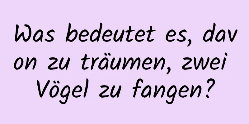 Was bedeutet es, davon zu träumen, zwei Vögel zu fangen?