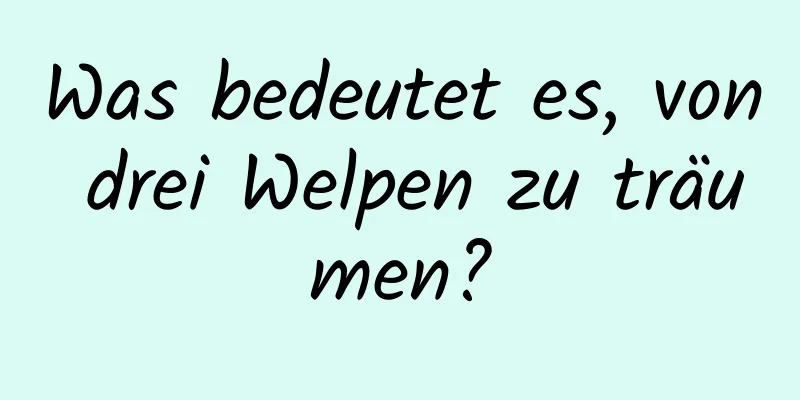 Was bedeutet es, von drei Welpen zu träumen?