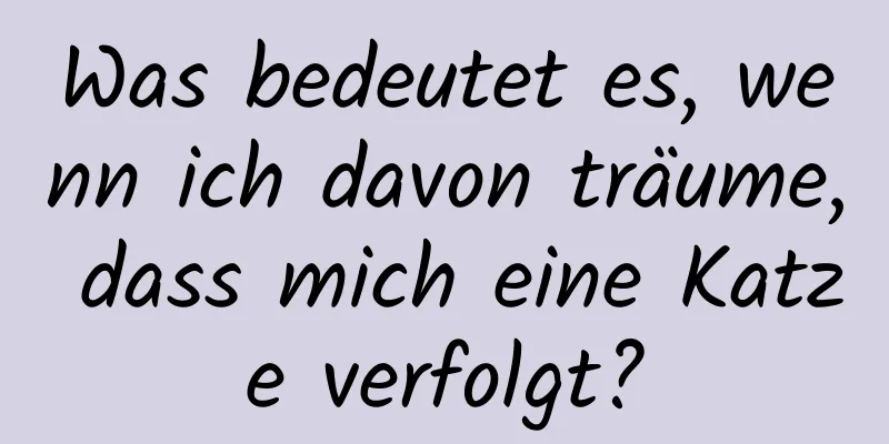 Was bedeutet es, wenn ich davon träume, dass mich eine Katze verfolgt?