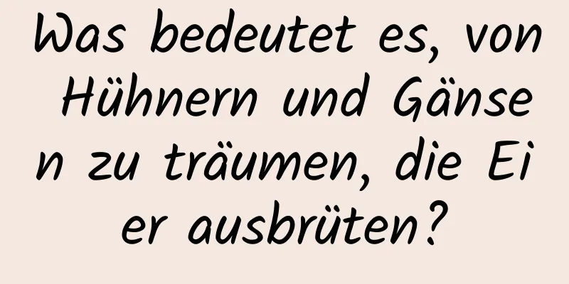 Was bedeutet es, von Hühnern und Gänsen zu träumen, die Eier ausbrüten?