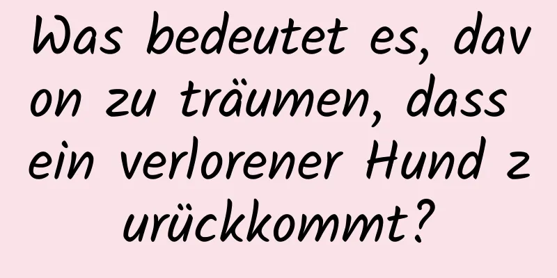 Was bedeutet es, davon zu träumen, dass ein verlorener Hund zurückkommt?