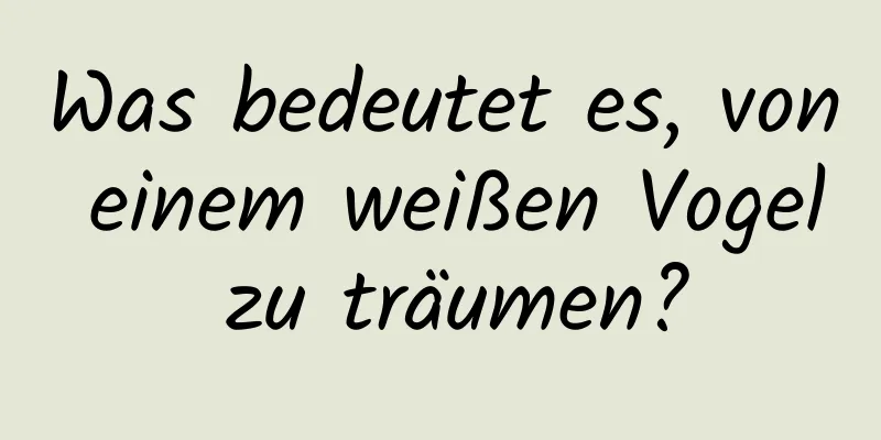 Was bedeutet es, von einem weißen Vogel zu träumen?