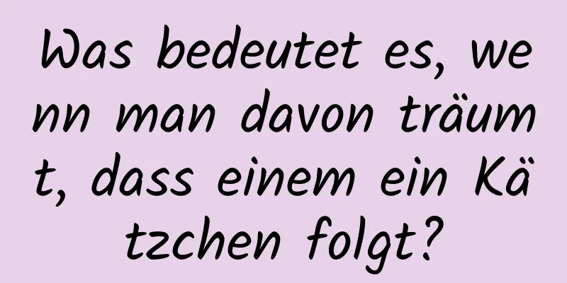 Was bedeutet es, wenn man davon träumt, dass einem ein Kätzchen folgt?