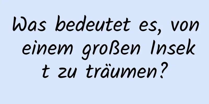 Was bedeutet es, von einem großen Insekt zu träumen?