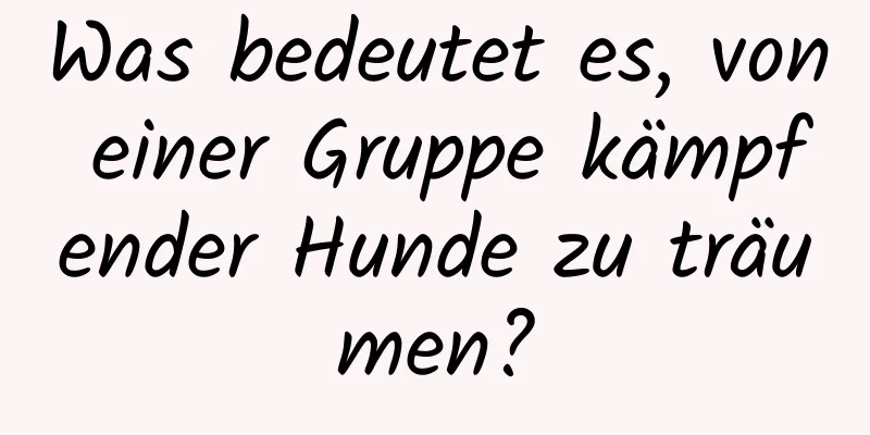 Was bedeutet es, von einer Gruppe kämpfender Hunde zu träumen?