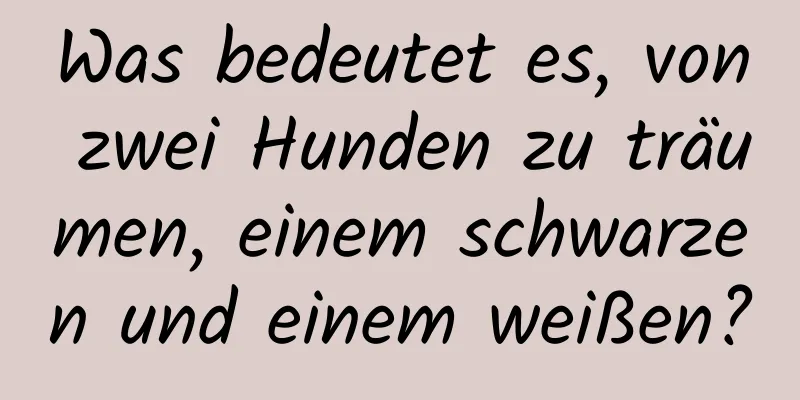 Was bedeutet es, von zwei Hunden zu träumen, einem schwarzen und einem weißen?