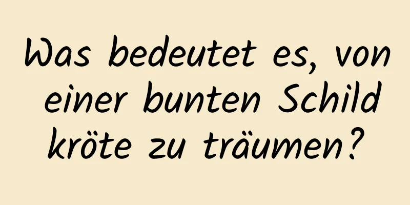 Was bedeutet es, von einer bunten Schildkröte zu träumen?