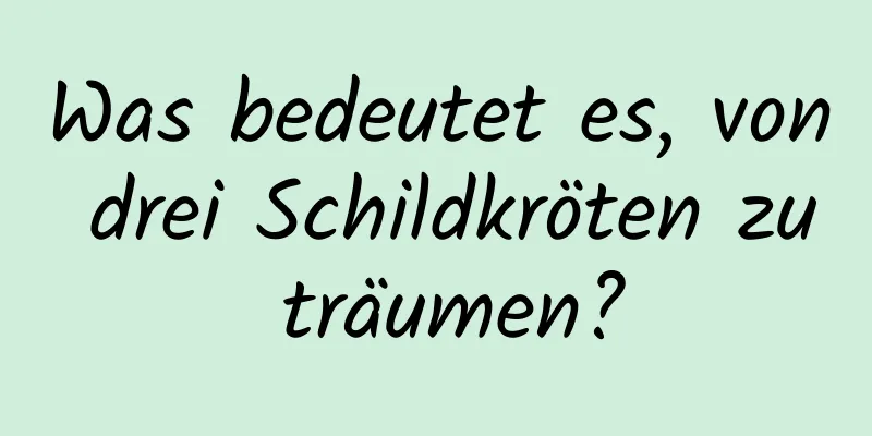 Was bedeutet es, von drei Schildkröten zu träumen?