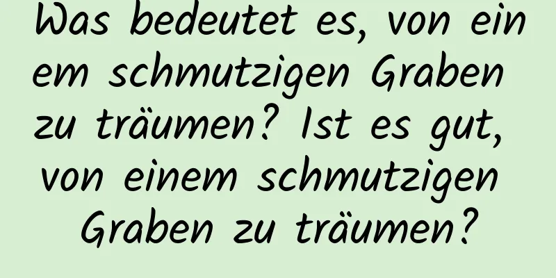 Was bedeutet es, von einem schmutzigen Graben zu träumen? Ist es gut, von einem schmutzigen Graben zu träumen?