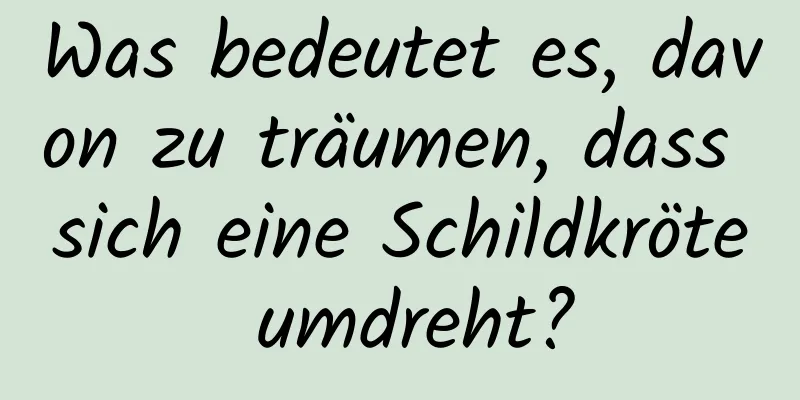 Was bedeutet es, davon zu träumen, dass sich eine Schildkröte umdreht?