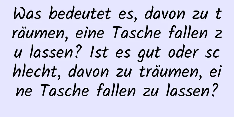 Was bedeutet es, davon zu träumen, eine Tasche fallen zu lassen? Ist es gut oder schlecht, davon zu träumen, eine Tasche fallen zu lassen?