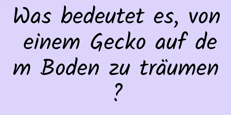 Was bedeutet es, von einem Gecko auf dem Boden zu träumen?