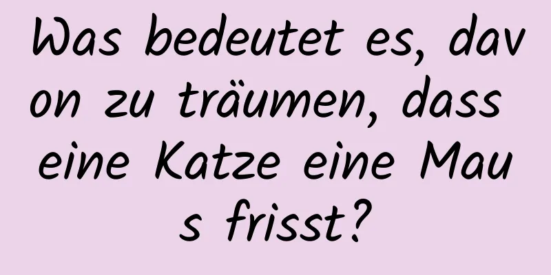 Was bedeutet es, davon zu träumen, dass eine Katze eine Maus frisst?