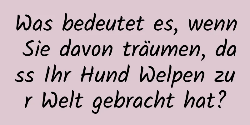 Was bedeutet es, wenn Sie davon träumen, dass Ihr Hund Welpen zur Welt gebracht hat?