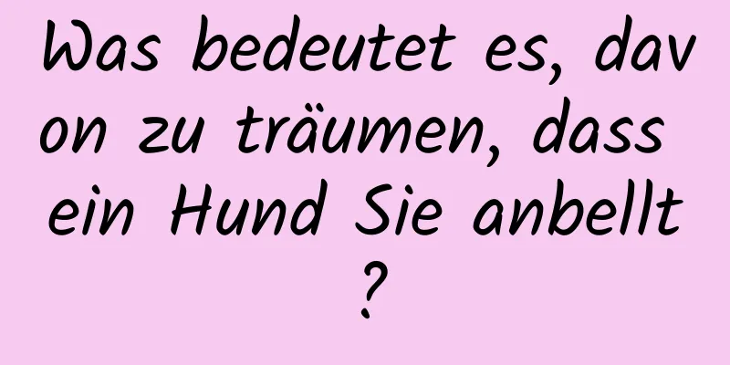 Was bedeutet es, davon zu träumen, dass ein Hund Sie anbellt?