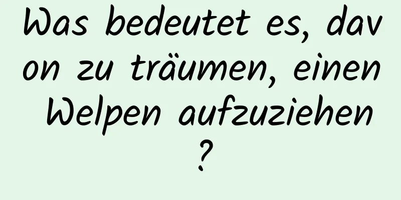 Was bedeutet es, davon zu träumen, einen Welpen aufzuziehen?