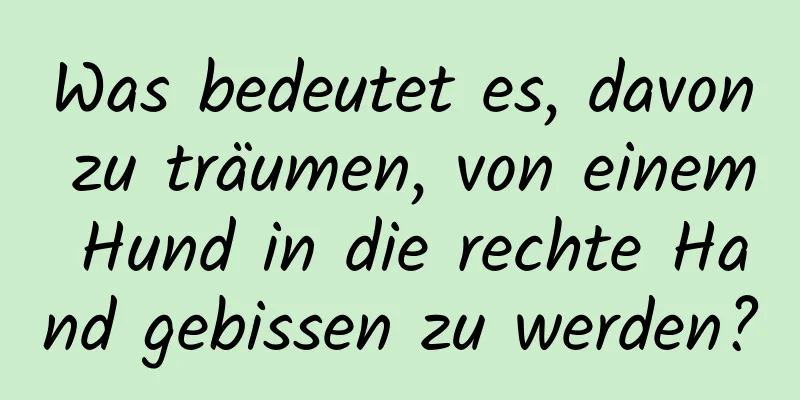 Was bedeutet es, davon zu träumen, von einem Hund in die rechte Hand gebissen zu werden?