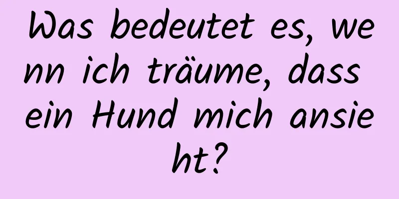 Was bedeutet es, wenn ich träume, dass ein Hund mich ansieht?